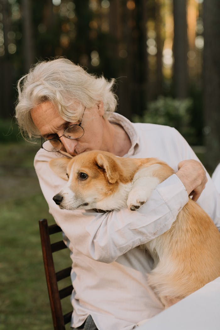 An elderly man affectionately holding a Corgi dog in an outdoor setting.